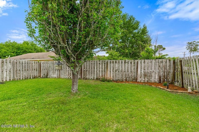 view of yard with a fenced backyard
