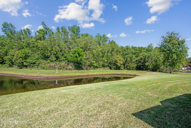 4661 Trevor Creek Dr N, Jacksonville, FL 32257 - photo 49