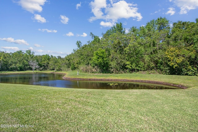 4661 Trevor Creek Dr N, Jacksonville, FL 32257 - photo 50