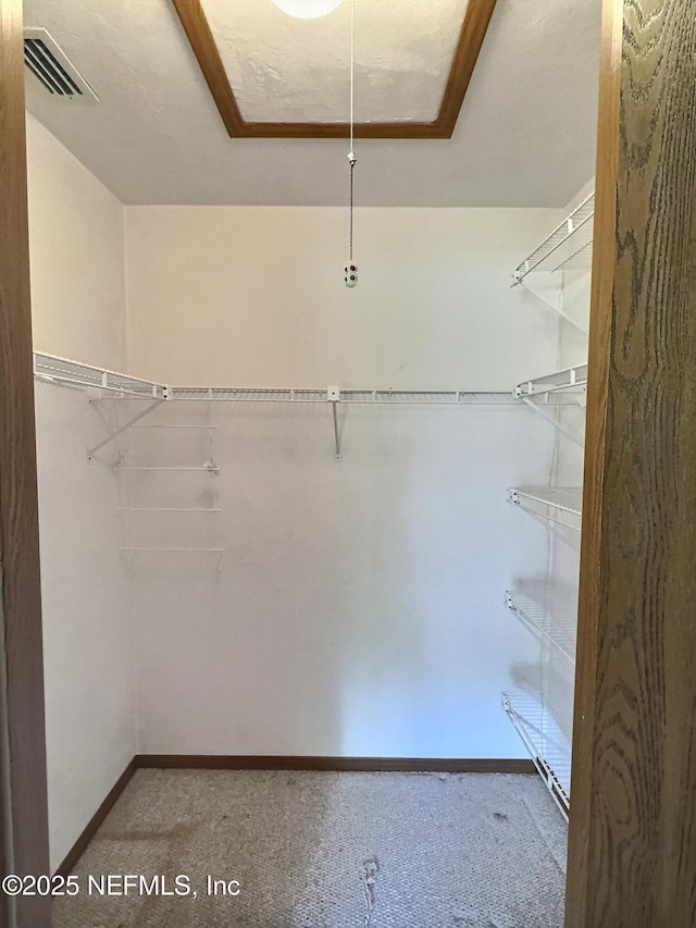 38 Rymer Ln, Palm Coast, FL 32164 - spacious closet featuring visible vents and carpet