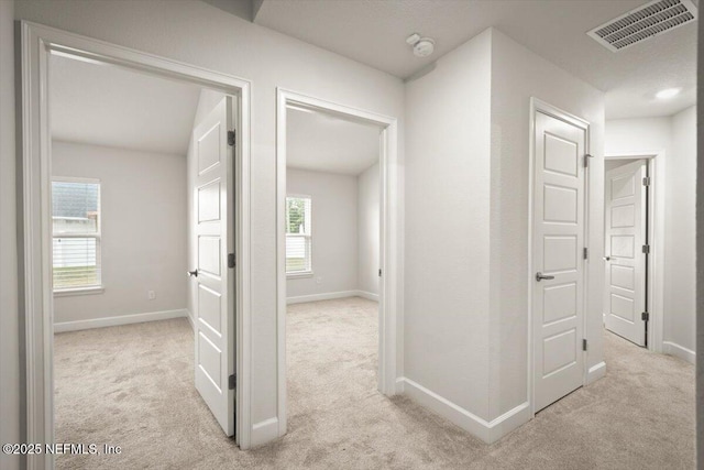 7271 Gateway Ct, Jacksonville, FL 32219 - hallway with carpet and baseboards
