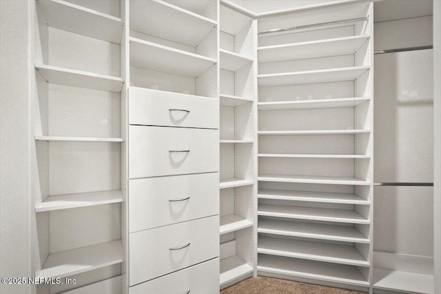7271 Gateway Ct, Jacksonville, FL 32219 - view of walk in closet