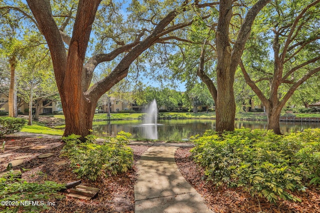 11 Arbor Club Dr Unit 212, Ponte Vedra Beach, FL 32082 - view of home's community with a water view