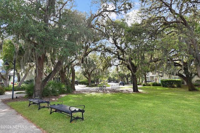 view of home's community with a yard