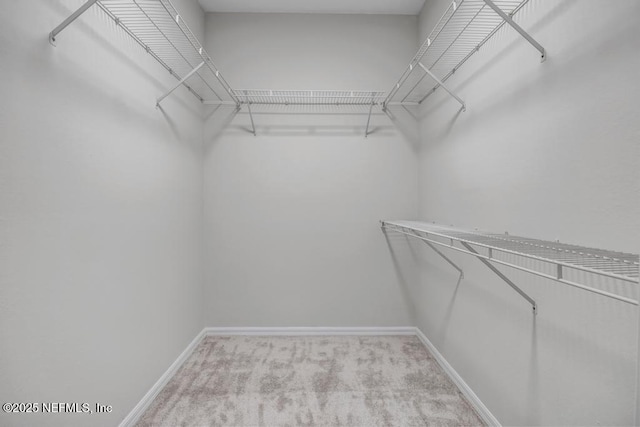 7800 Point Meadows Dr Unit 1511, Jacksonville, FL 32256 - spacious closet featuring carpet flooring