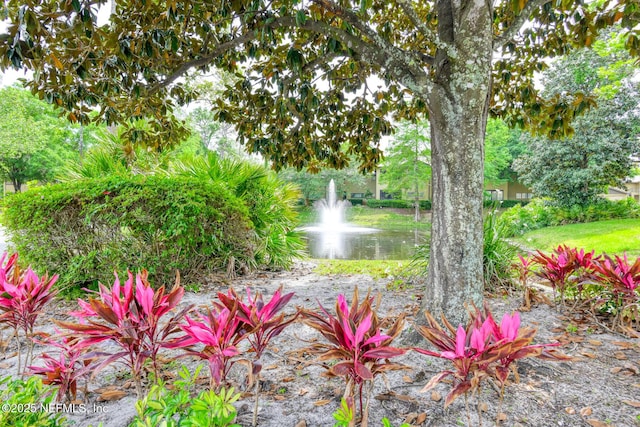 10150 Belle Rive Blvd Unit 1508, Jacksonville, FL 32256 - photo 27