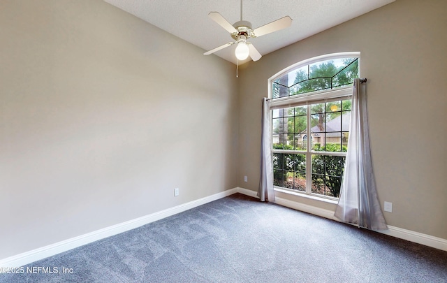 12898 Winged Elm Dr N, Jacksonville, FL 32246 - photo 31