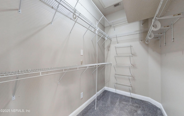 12898 Winged Elm Dr N, Jacksonville, FL 32246 - photo 27