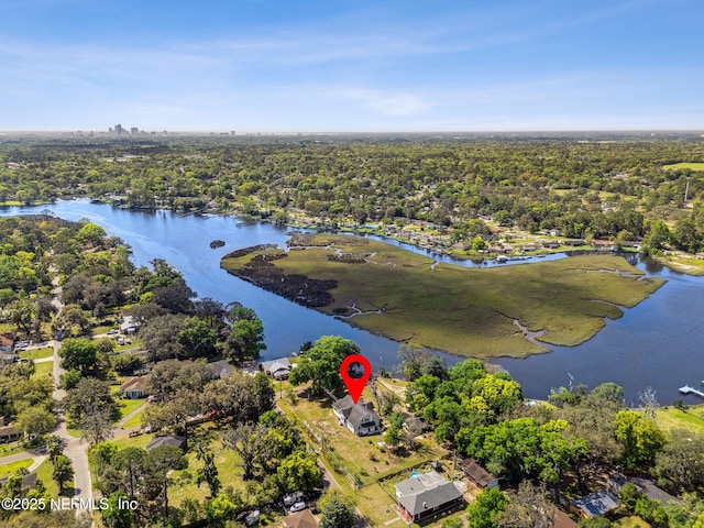 2541 Grand St, Jacksonville, FL 32208 - birds eye view of property with a water view and a forest view