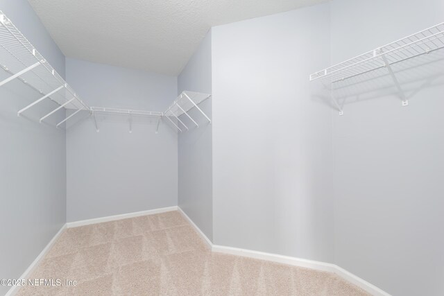 476 Monet Ave, Ponte Vedra, FL 32081 - walk in closet featuring carpet floors