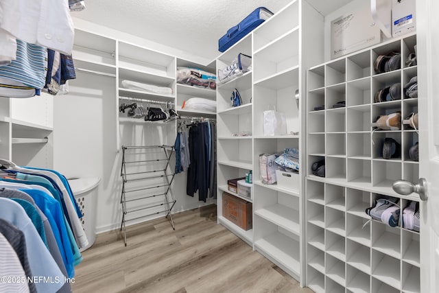 walk in closet featuring light wood-style floors