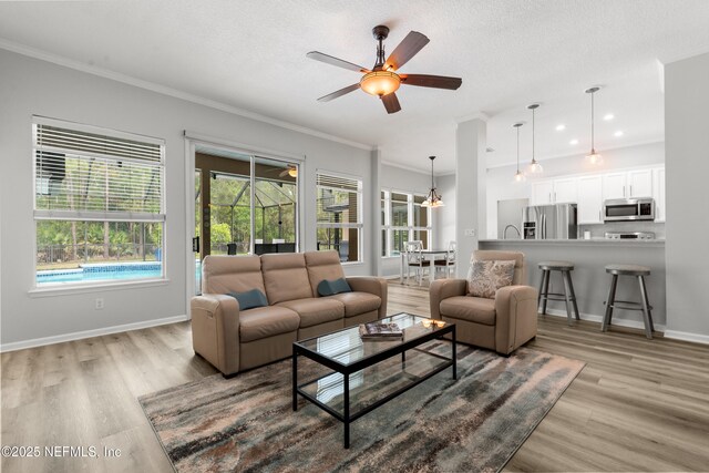 living area featuring baseboards, a textured ceiling, crown molding, ceiling fan, and wood finished floors