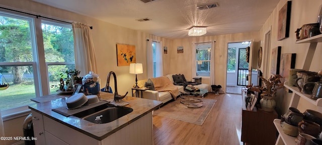 interior space with a healthy amount of sunlight, wood finished floors, and visible vents