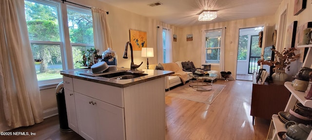 interior space featuring white cabinets, a sink, light wood-style floors, plenty of natural light, and visible vents