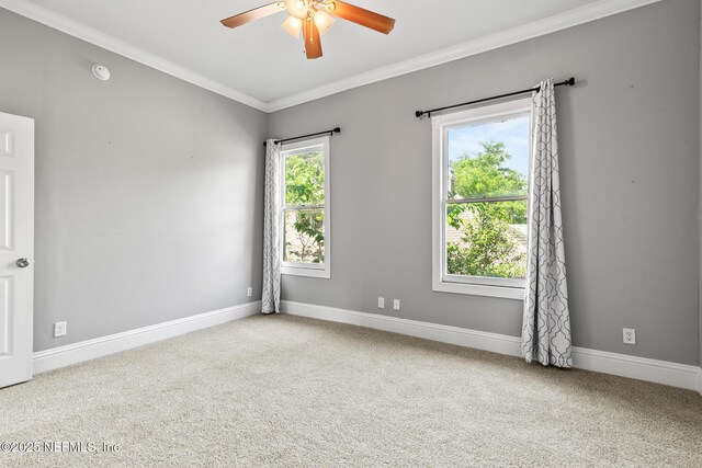 423 Walnut Ct, Jacksonville, FL 32206 - photo 38