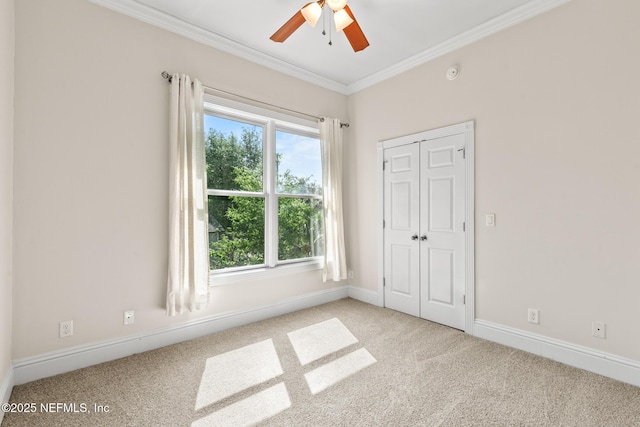 423 Walnut Ct, Jacksonville, FL 32206 - photo 40