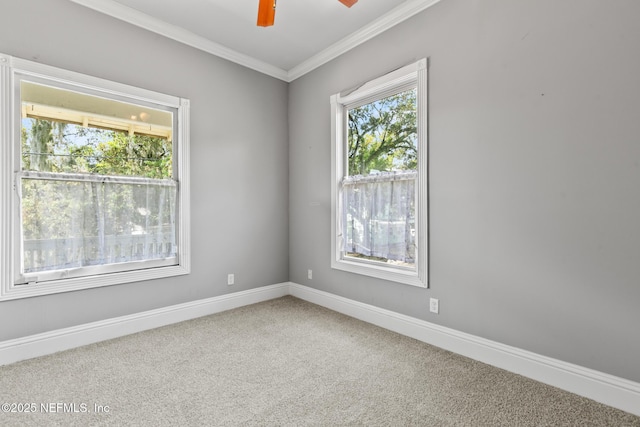 423 Walnut Ct, Jacksonville, FL 32206 - photo 46
