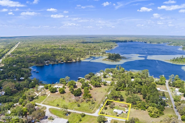 aerial view featuring a view of trees and a water view