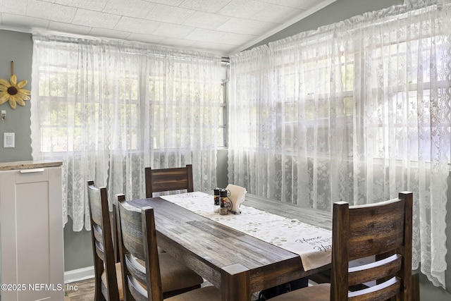 dining room featuring lofted ceiling