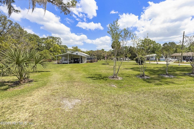 view of yard featuring a detached carport