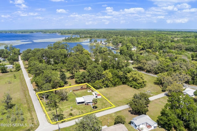 birds eye view of property with a water view and a view of trees