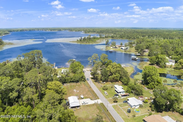 birds eye view of property with a water view and a wooded view