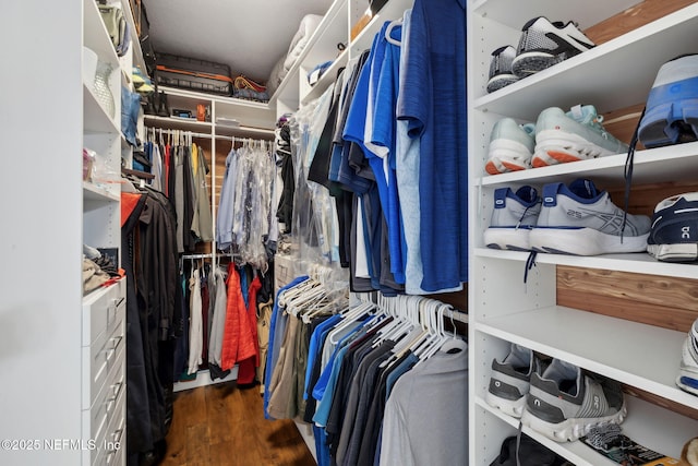 spacious closet featuring wood finished floors