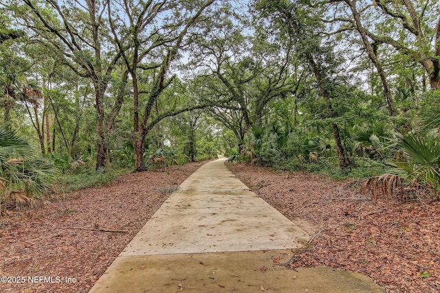 280 Quail Vista Dr, Ponte Vedra, FL 32081 - view of community