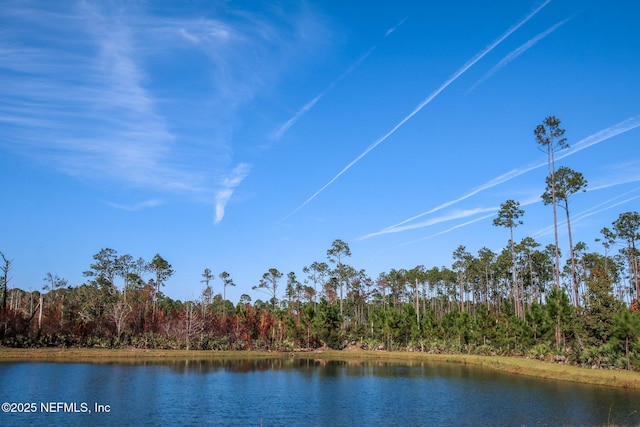 280 Quail Vista Dr, Ponte Vedra, FL 32081 - property view of water featuring a wooded view