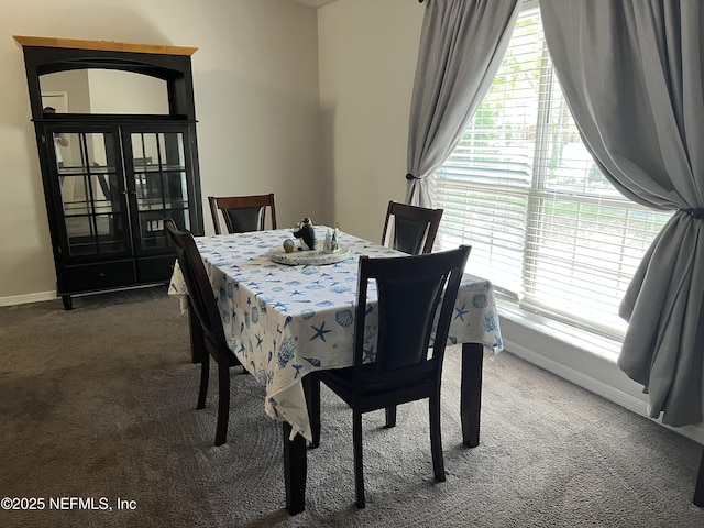 11105 SE 223rd Ter, Hawthorne, FL 32640 - photo 9