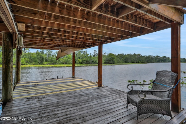 12847 Swamp Owl Ln, Jacksonville, FL 32258 - dock with a water view and view of wooded area