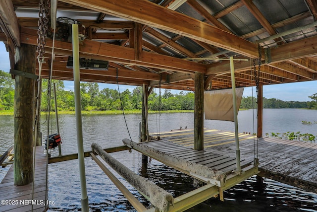 12847 Swamp Owl Ln, Jacksonville, FL 32258 - dock area with boat lift, a water view, and view of scattered trees