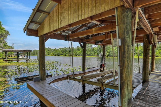 12847 Swamp Owl Ln, Jacksonville, FL 32258 - dock area with boat lift and a water view