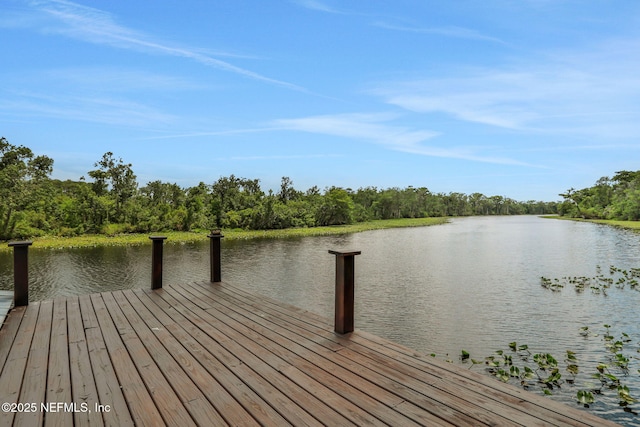 12847 Swamp Owl Ln, Jacksonville, FL 32258 - dock with a water view