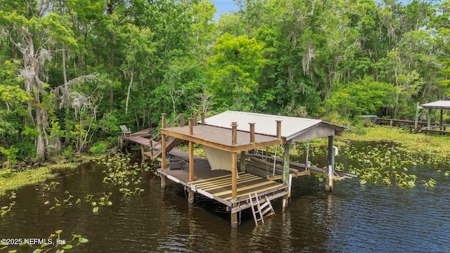 12847 Swamp Owl Ln, Jacksonville, FL 32258 - dock area featuring a water view