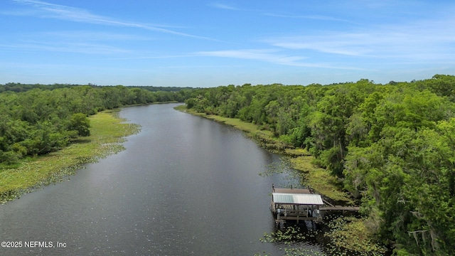12847 Swamp Owl Ln, Jacksonville, FL 32258 - water view with a heavily wooded area and a dock
