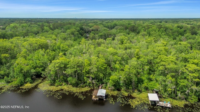 12847 Swamp Owl Ln, Jacksonville, FL 32258 - bird's eye view of a forest and a large body of water