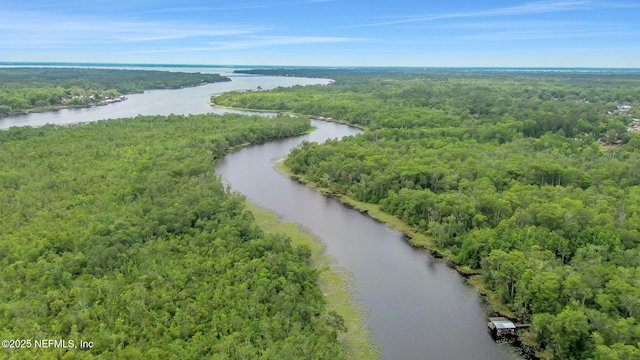 12847 Swamp Owl Ln, Jacksonville, FL 32258 - bird's eye view of a forest and a nearby body of water