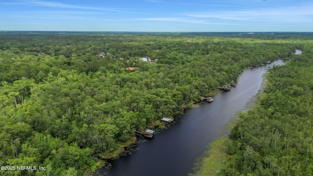 12847 Swamp Owl Ln, Jacksonville, FL 32258 - bird's eye view of a forest and a nearby body of water