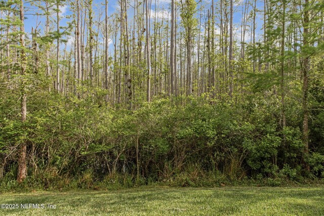 9831 Del Webb Pkwy Unit 3107, Jacksonville, FL 32256 - view of nature with a wooded view