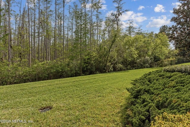 9831 Del Webb Pkwy Unit 3107, Jacksonville, FL 32256 - view of yard with a view of trees
