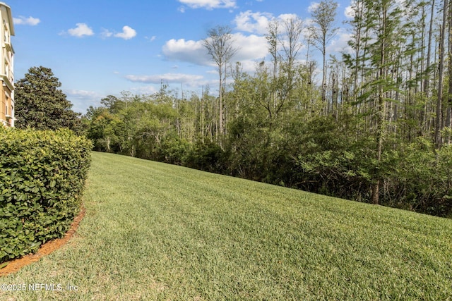 9831 Del Webb Pkwy Unit 3107, Jacksonville, FL 32256 - view of yard with a view of trees