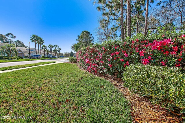 9831 Del Webb Pkwy Unit 3107, Jacksonville, FL 32256 - view of yard