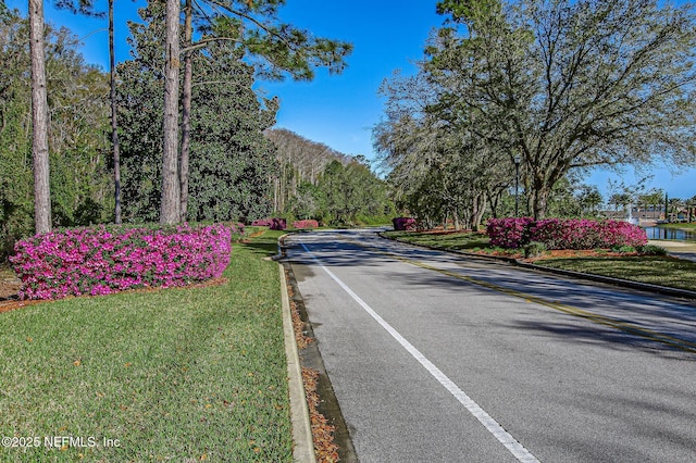 9831 Del Webb Pkwy Unit 3107, Jacksonville, FL 32256 - view of street with curbs