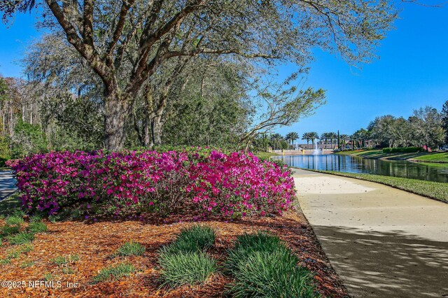 9831 Del Webb Pkwy Unit 3107, Jacksonville, FL 32256 - view of property's community featuring a water view