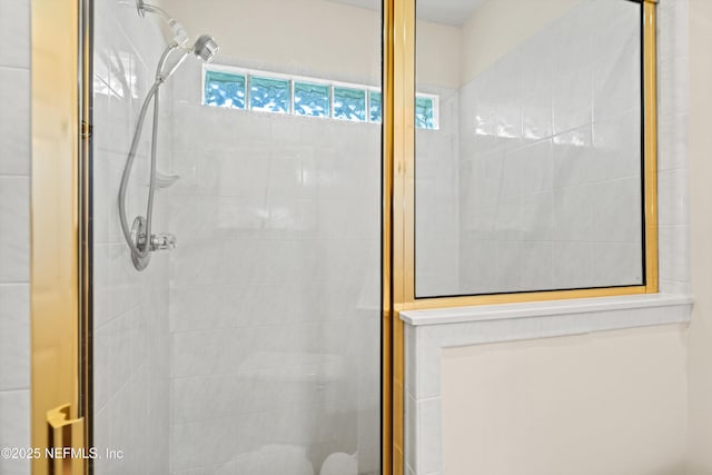 1952 Quaker Ridge Dr, Green Cove Springs, FL 32043 - bathroom with a shower stall