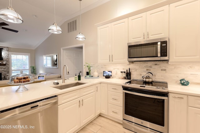 4394 Apple Tree Pl, Jacksonville, FL 32258 - kitchen featuring crown molding, a sink, appliances with stainless steel finishes, open floor plan, and visible vents
