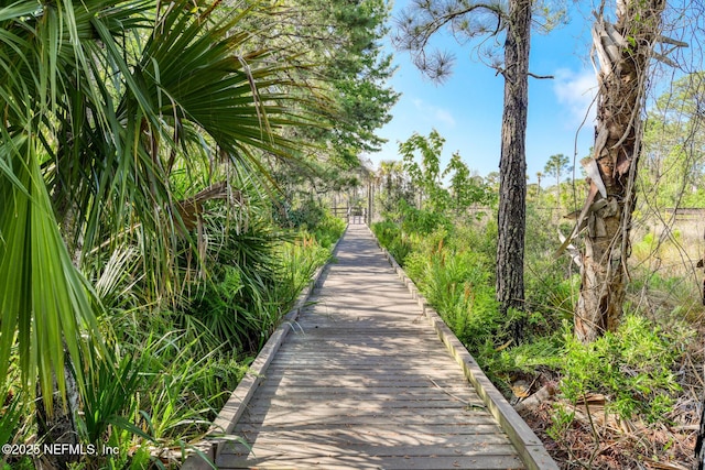 1825 Vista Cove Rd, Saint Augustine, FL 32084 - view of surrounding community