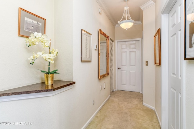 1825 Vista Cove Rd, Saint Augustine, FL 32084 - corridor featuring crown molding, light carpet, and baseboards