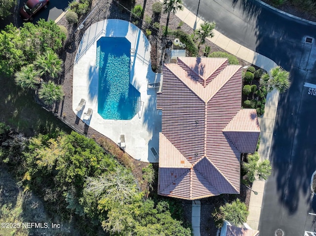 1825 Vista Cove Rd, Saint Augustine, FL 32084 - view from above of property featuring a pool area